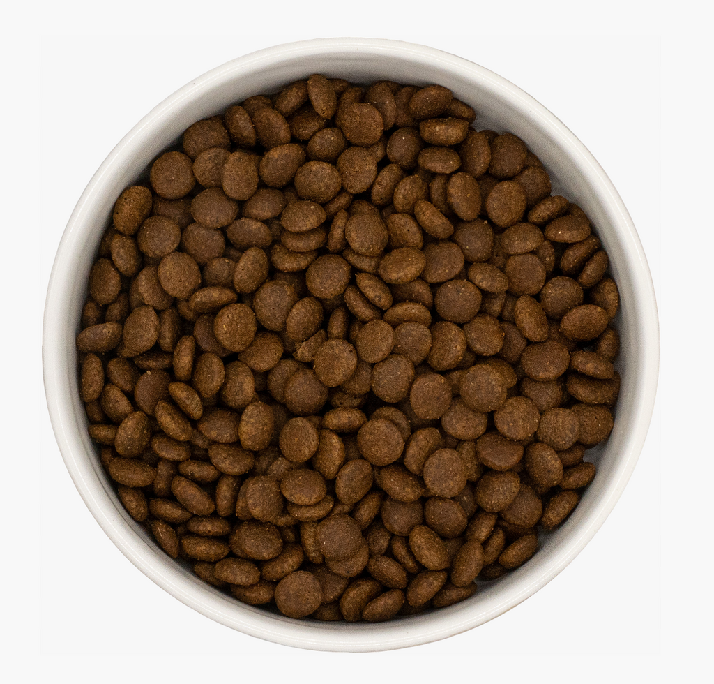 Turkey & Chicken Premium+ Grain-Free Cat Food | 5kg