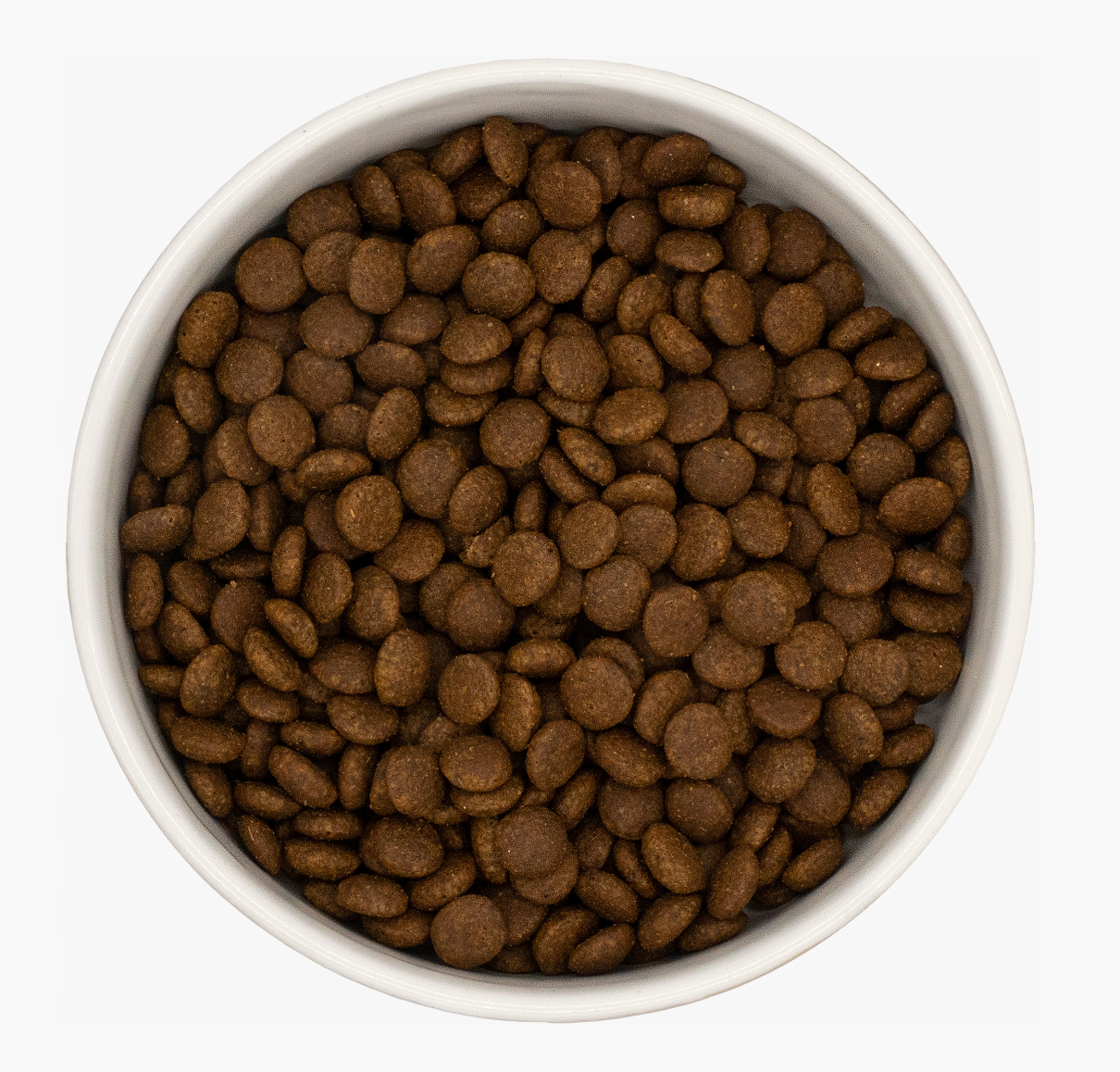 Turkey & Chicken Premium+ Grain-Free Cat Food | 5kg