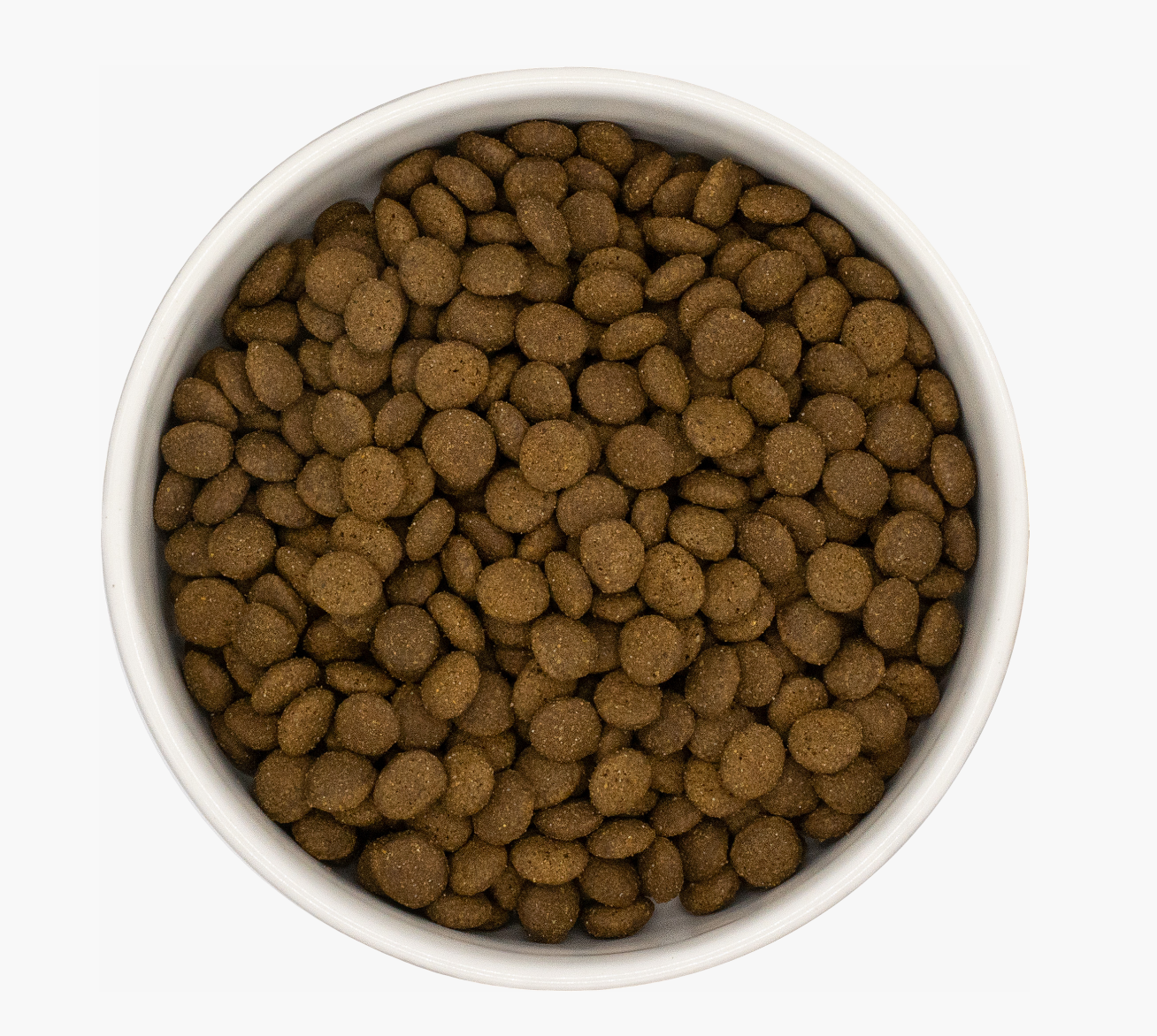 Grain Free Salmon & White Fish Premium+ Dry Cat Food