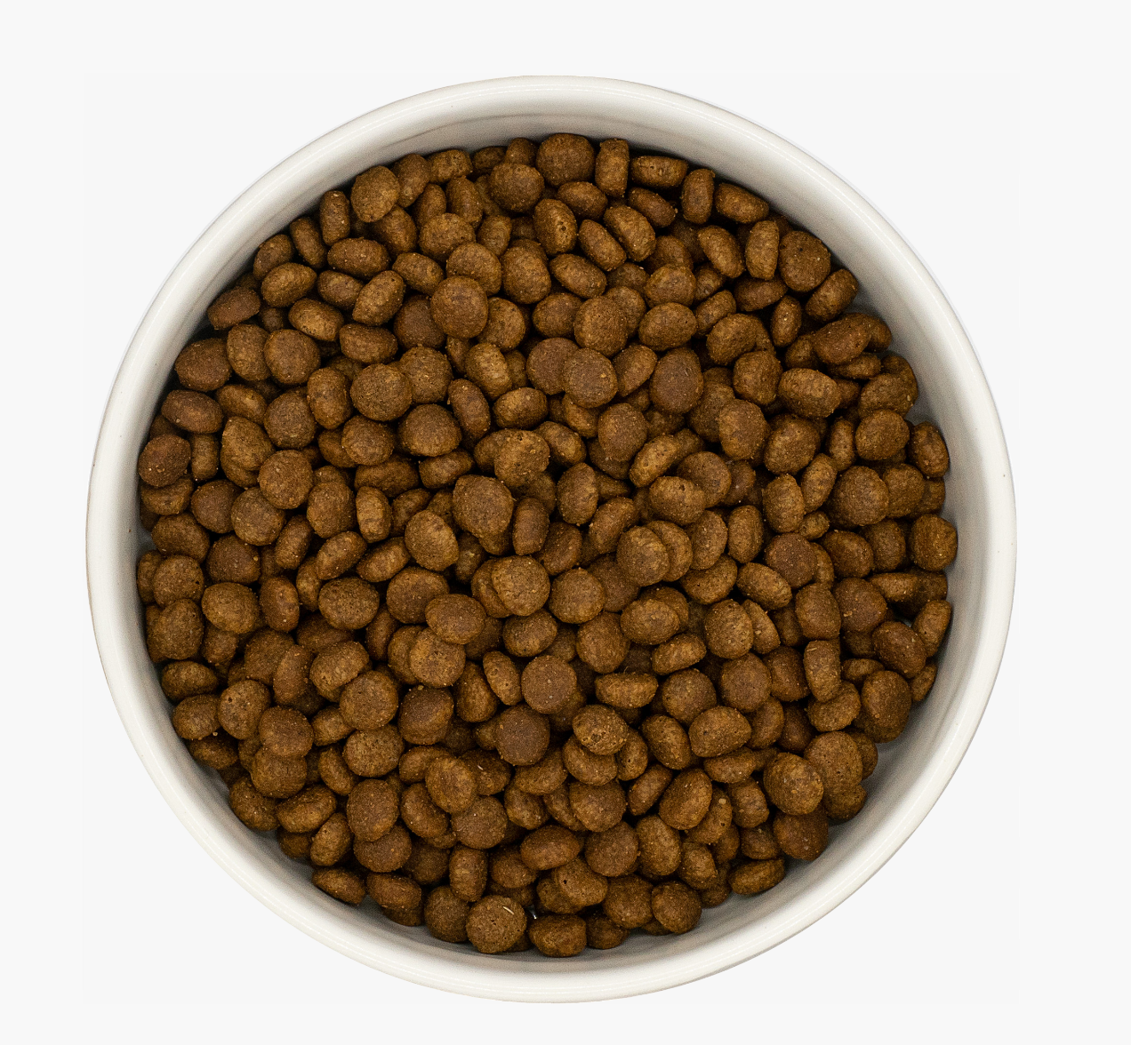 Premium+ Turkey & Chicken Grain-Free Kitten Food | 5kg