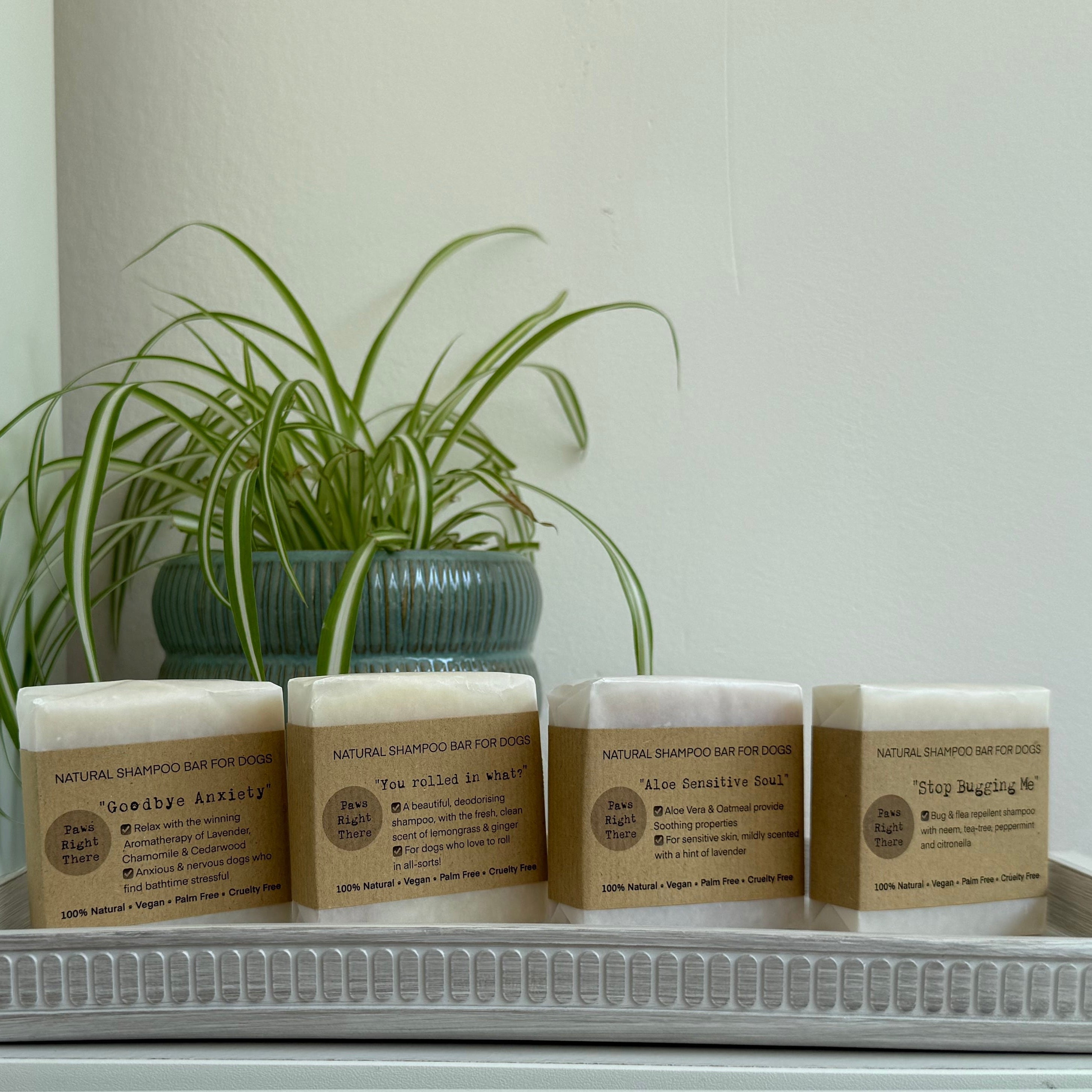 Set of natural dog shampoo bars, white blocks with gold-brown labels on display