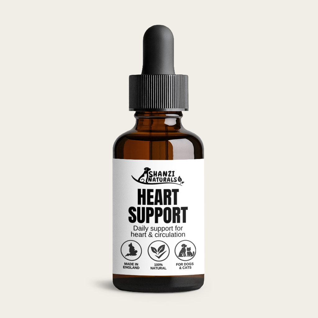 Herbal tincture bottle with dropper and black cap, amber glass, Heart Support label