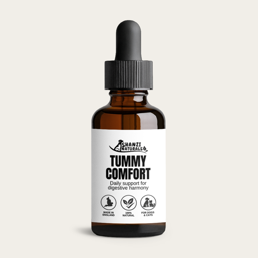 Tummy Comfort Drops for Dogs & Cats | Herbal Daily Digestive & Gut Support