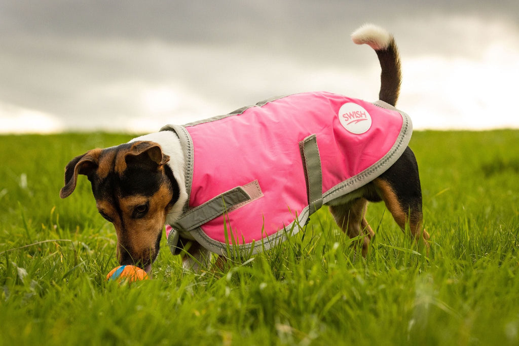 Waterproof Dog Coat - High Viz Pink | Reflective & Breathable | 14 Sizes