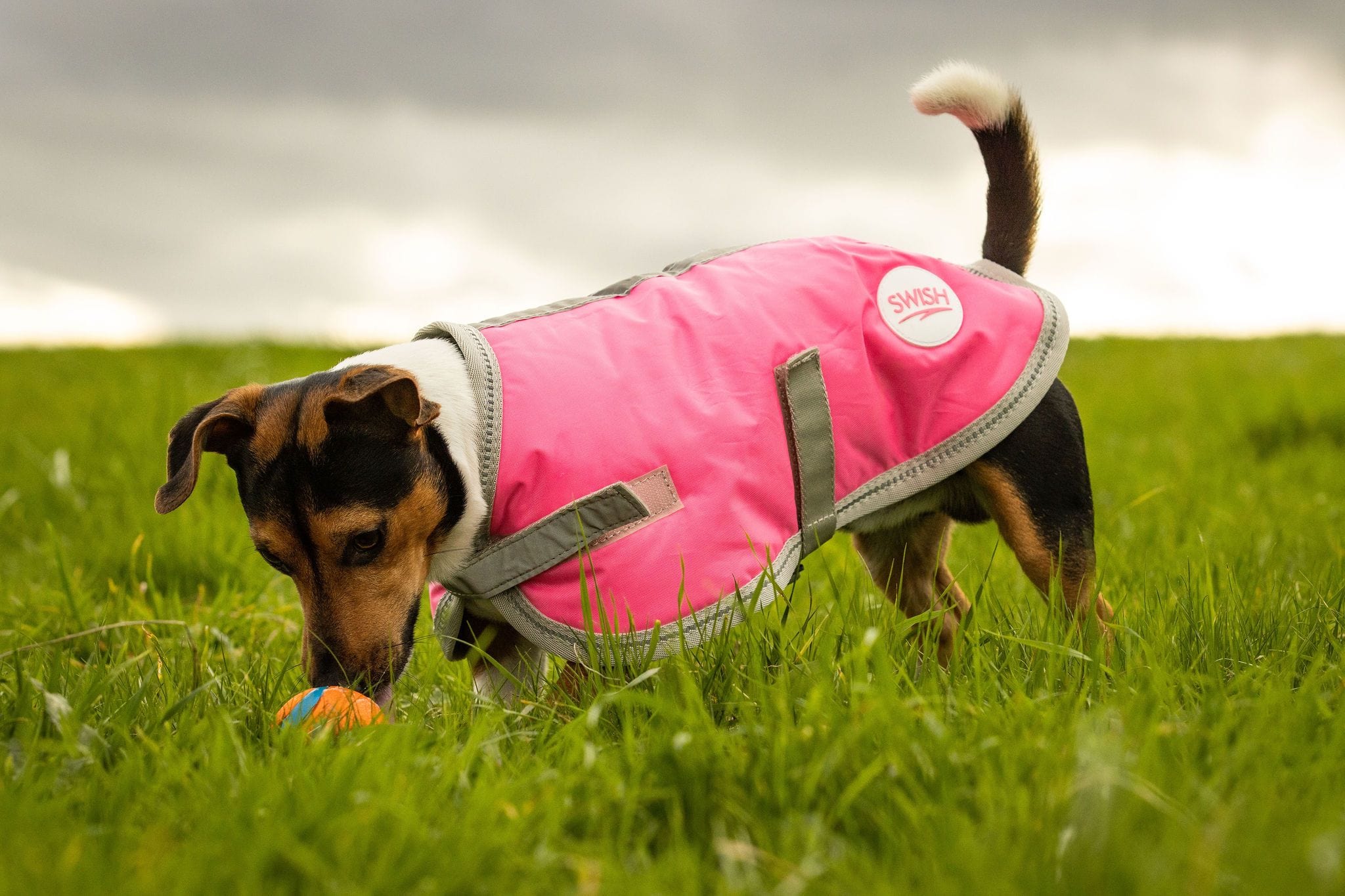 Waterproof Dog Coat - High Viz Pink | Reflective & Breathable | 14 Sizes