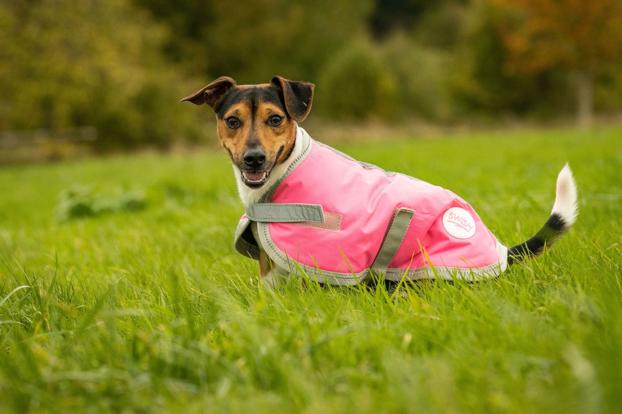Waterproof Dog Coat - High Viz Pink | Reflective & Breathable | 14 Sizes
