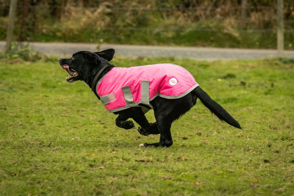 Waterproof Dog Coat - High Viz Pink | Reflective & Breathable | 14 Sizes