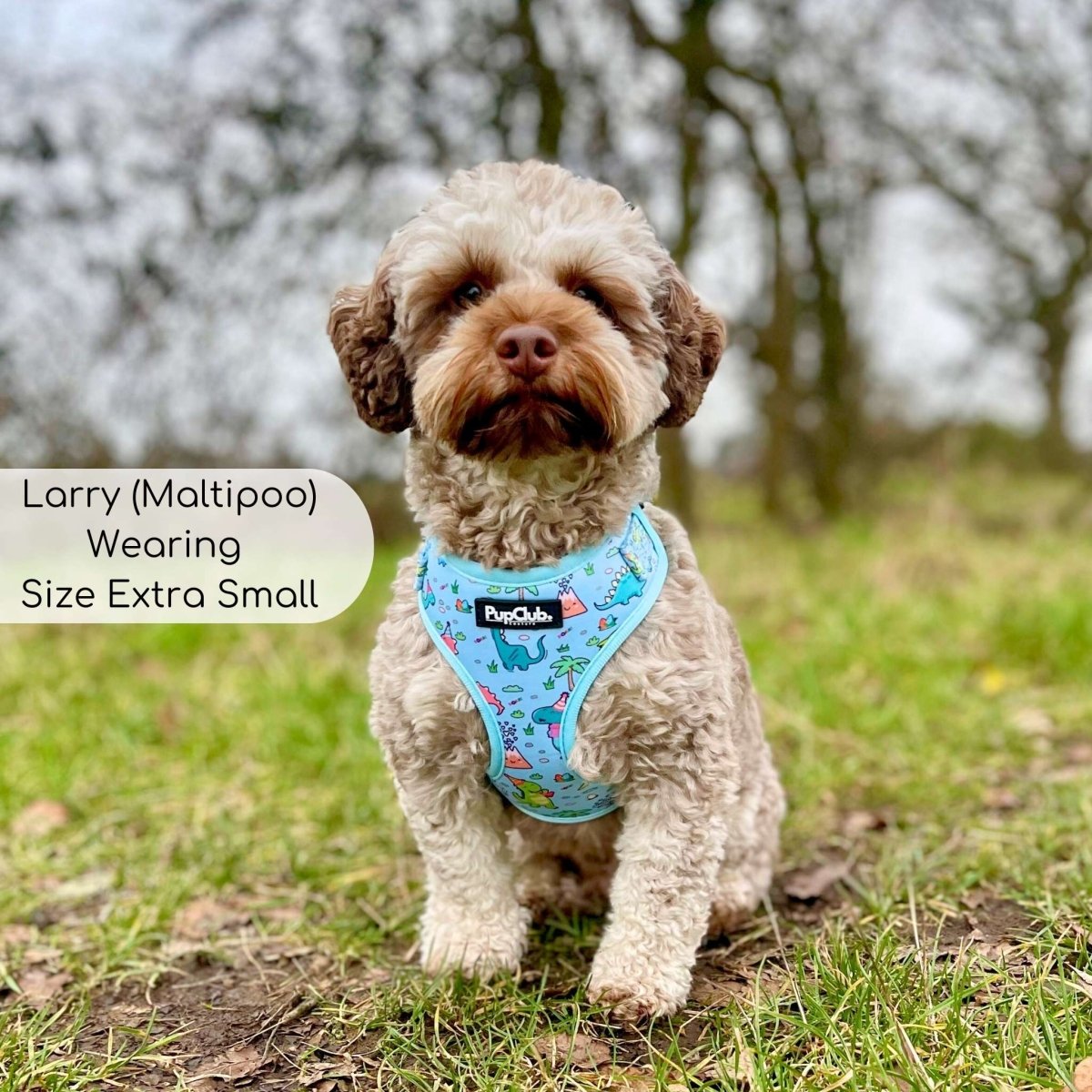 Adjustable dog harness with light turquoise dinosaur print and adjustable straps