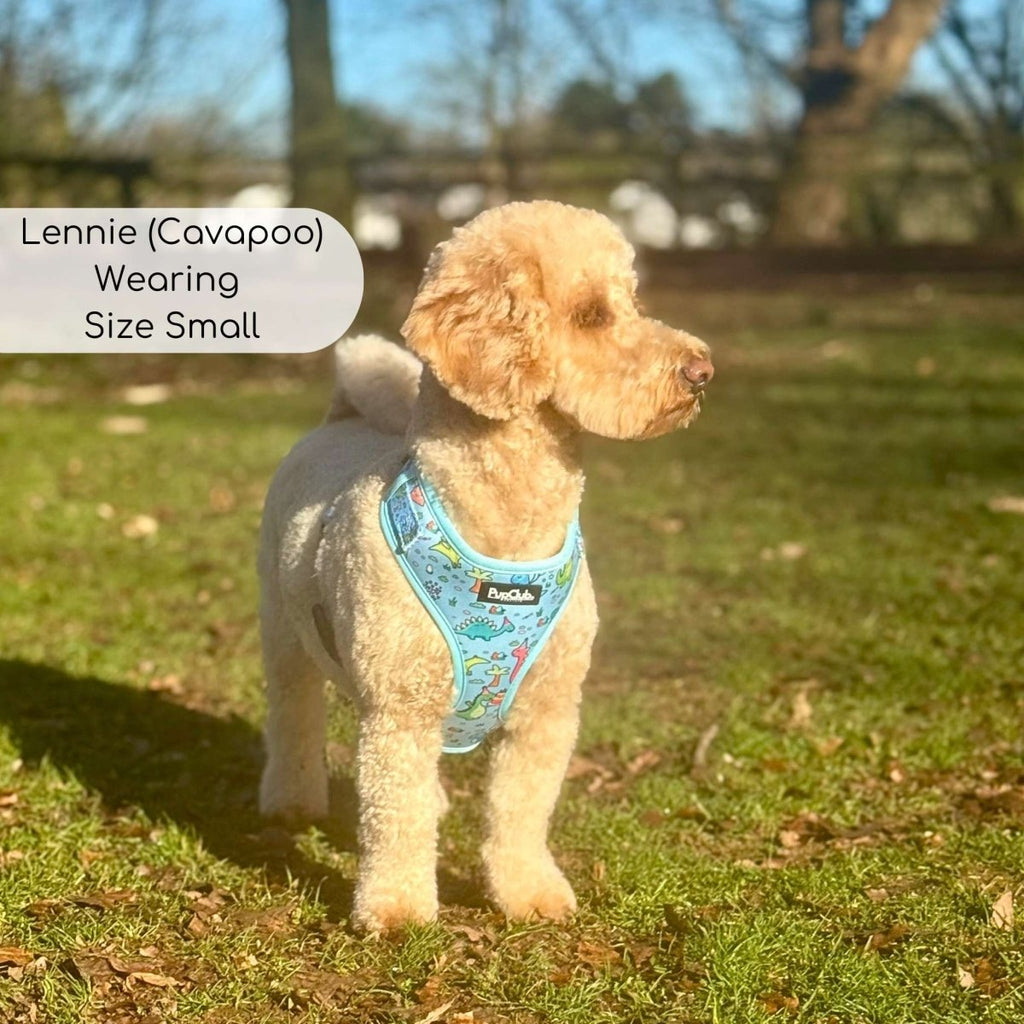 Adjustable dog harness in turquoise with dinosaur print, padded chest strap
