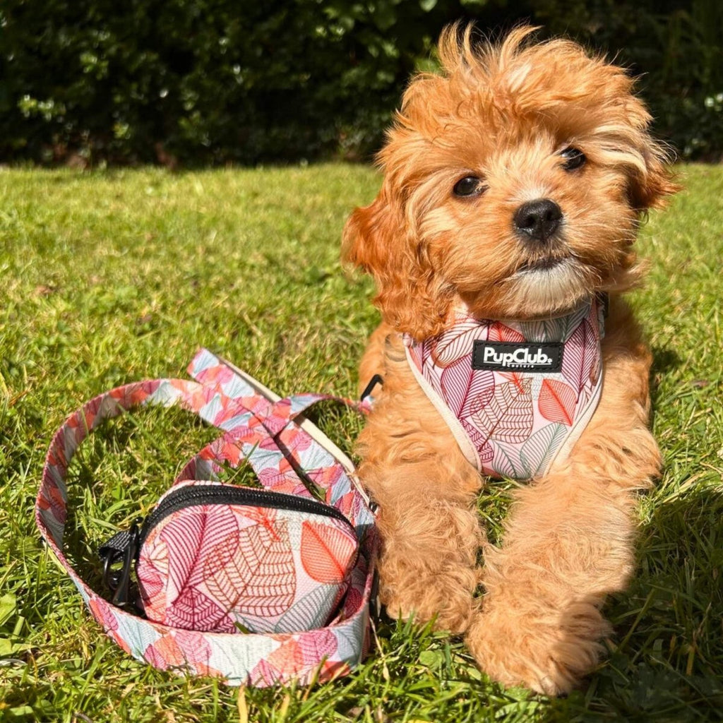 Poo Bag Holder – Autumn Breeze | Neoprene Dog Walking Accessory