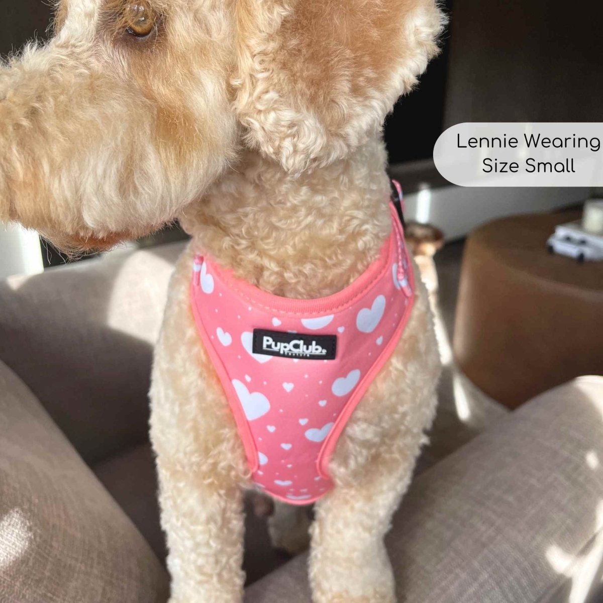 Pink dog harness with white heart print and front chest strap