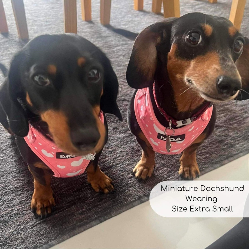 Pink dog adjustable harness with white hearts and front buckles