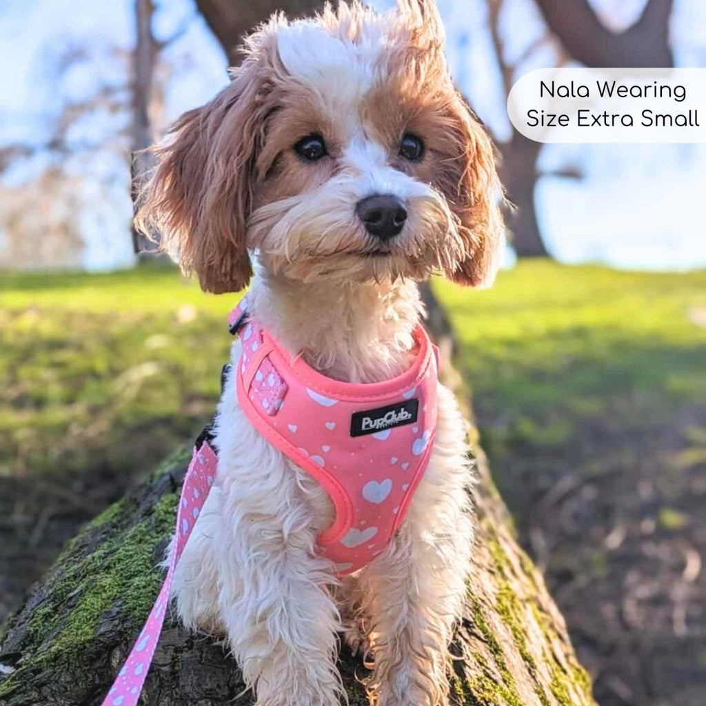 Pink dog harness with white heart pattern and front adjustment buckle