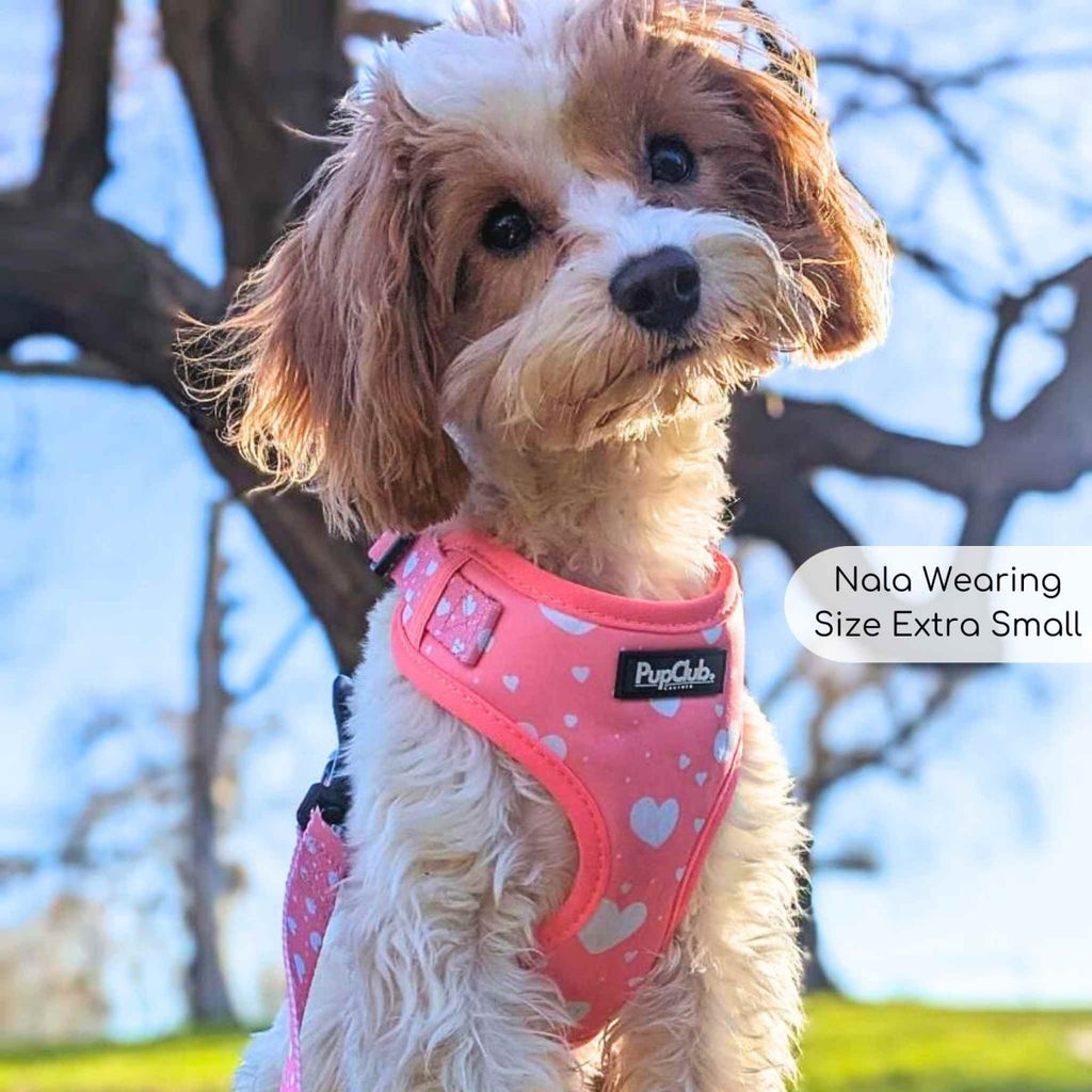 Pink heart-pattern dog harness with front adjustment buckle