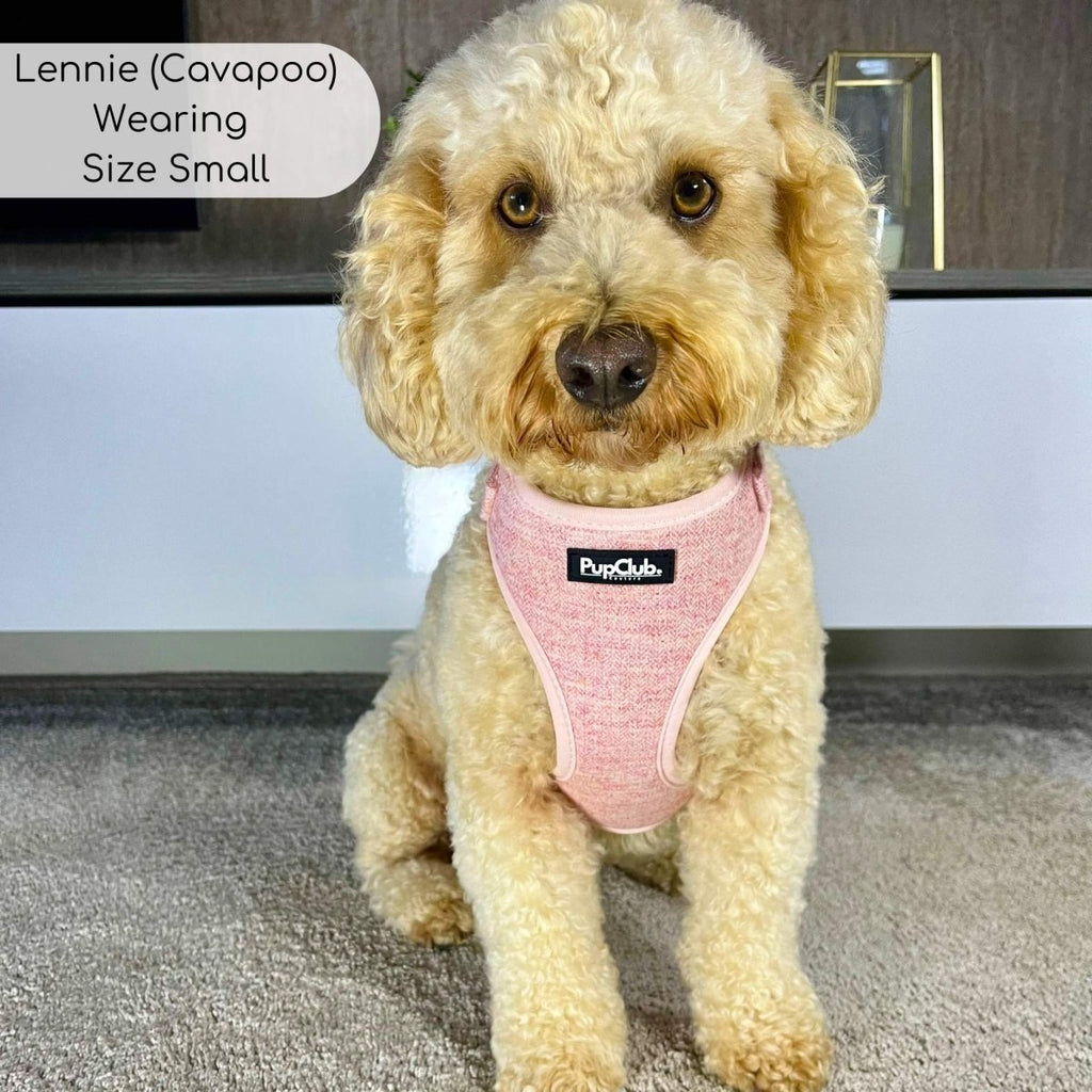Pink tweed dog harness with PupClub logo on a small dog
