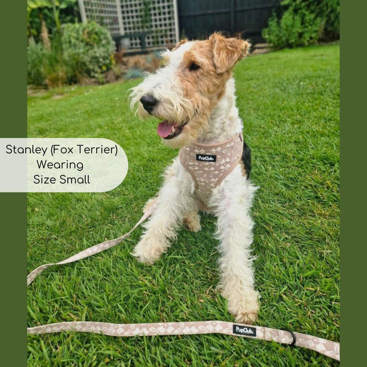 Toffee Latte Petals Luxe Adjustable Dog Harness | Embroidered Floral
