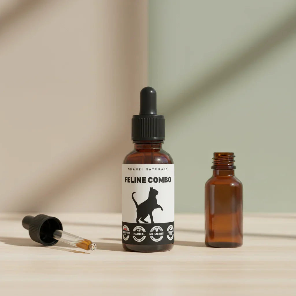 Cat wellness dropper bottle with amber liquid and black cap, with dropper on side
