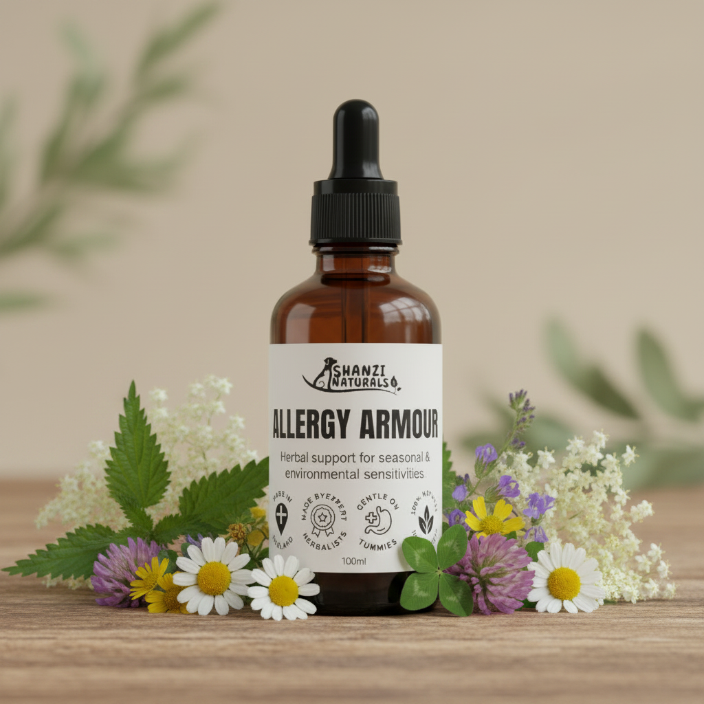 Herbal tincture bottle with black dropper, amber glass, 100ml, front label
