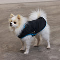 Soho Poms Teddy Bear Waterproof Dog Jacket | Black & Teal