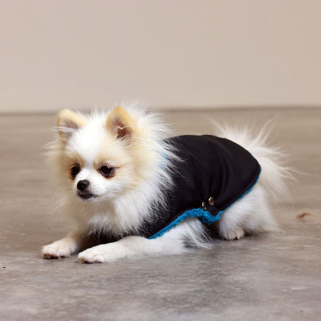 Soho Poms Teddy Bear Waterproof Dog Jacket | Black & Teal