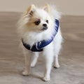 Soho Poms Teddy Bear Waterproof Dog Jacket | Blue & Ivory