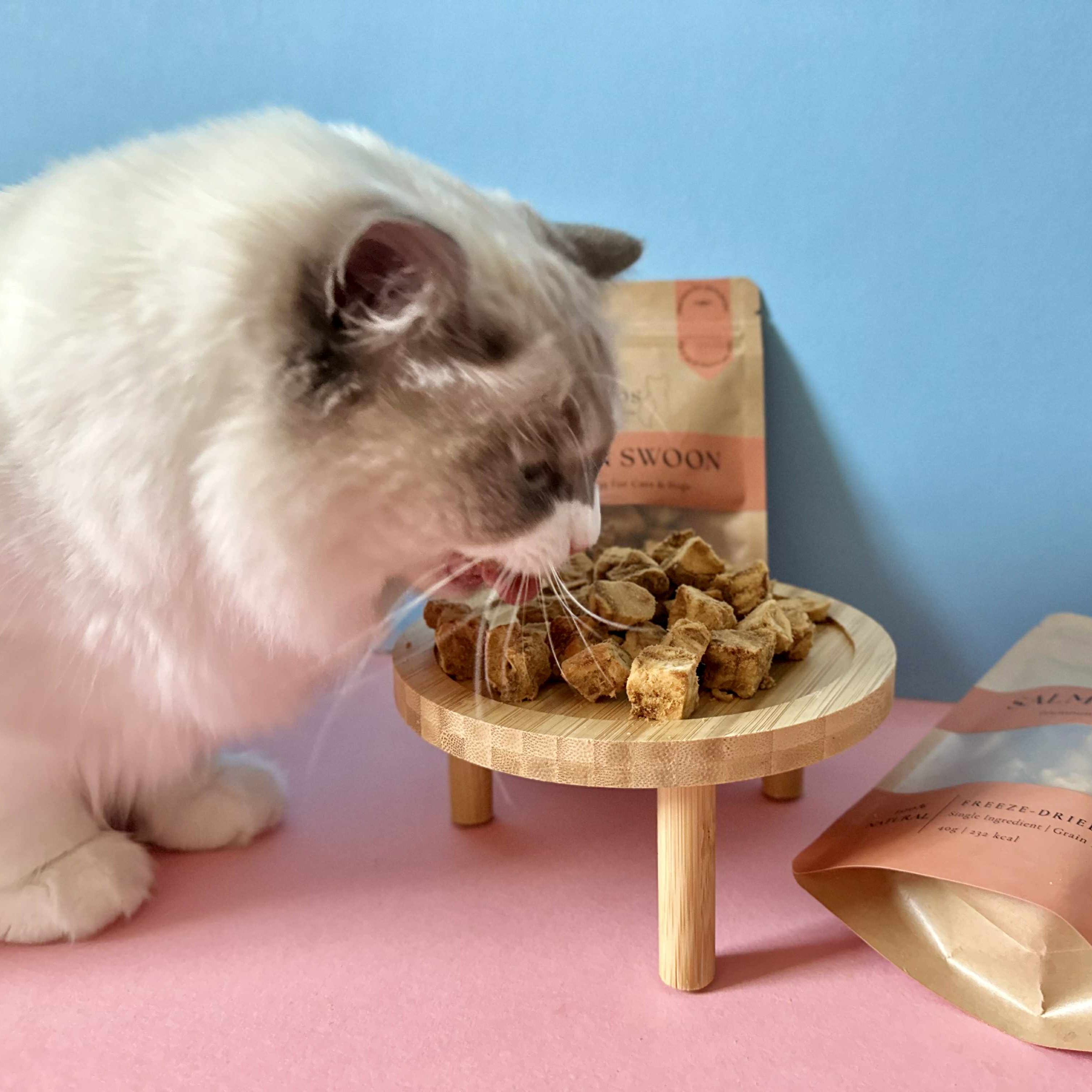 Salmon Swoon - 100% Freeze-Dried Salmon Treats | Pure & Natural | Tail Tips UK | 50g pack