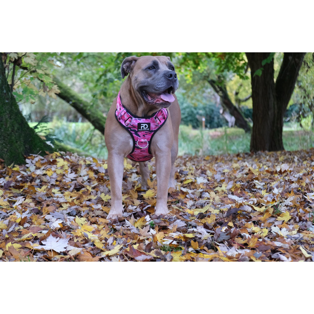Pure Dog K9 Comfort Dog Harness | Pink Camo
