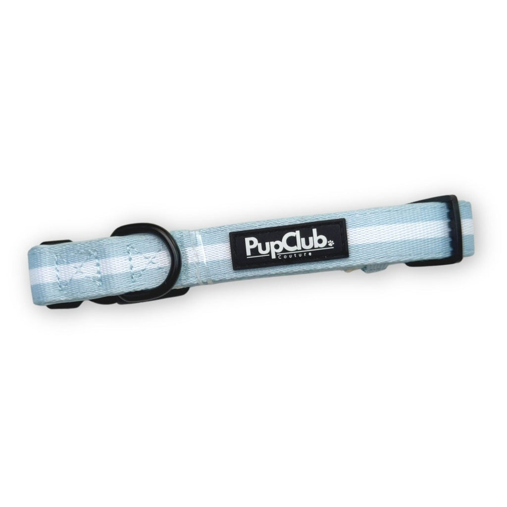 Pastel blue dog collar with PupClub logo and black buckle, adjustable strap