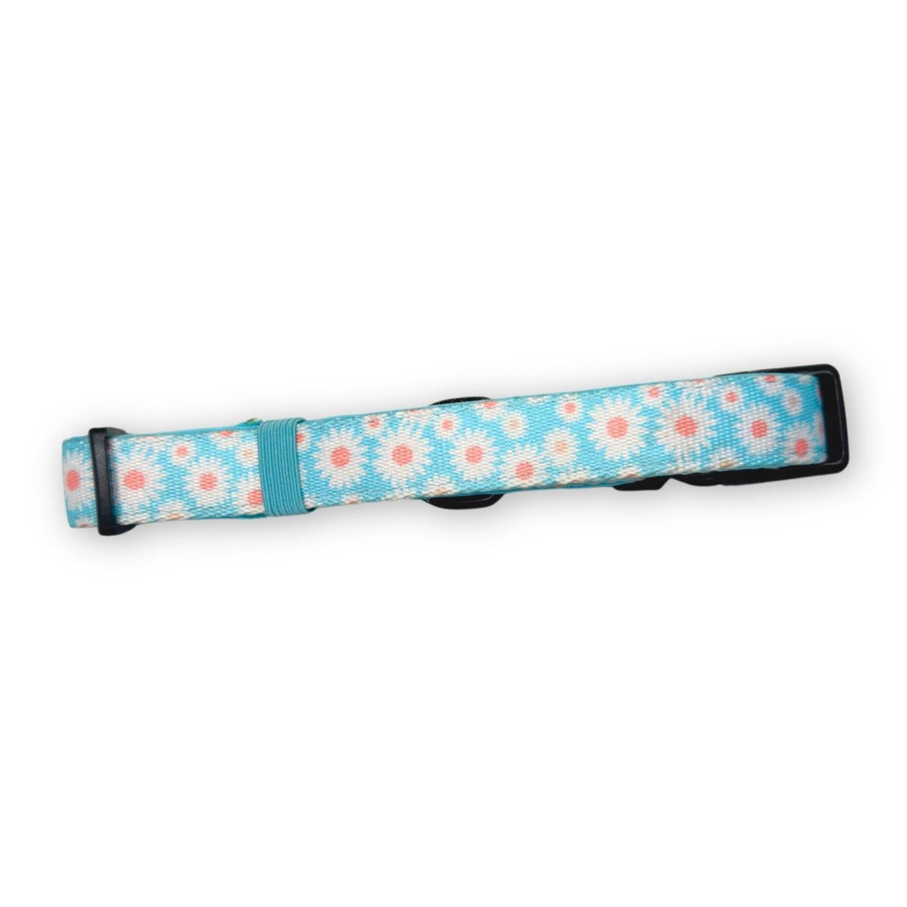 Pastel daisy dog collar with black adjuster and light blue fabric