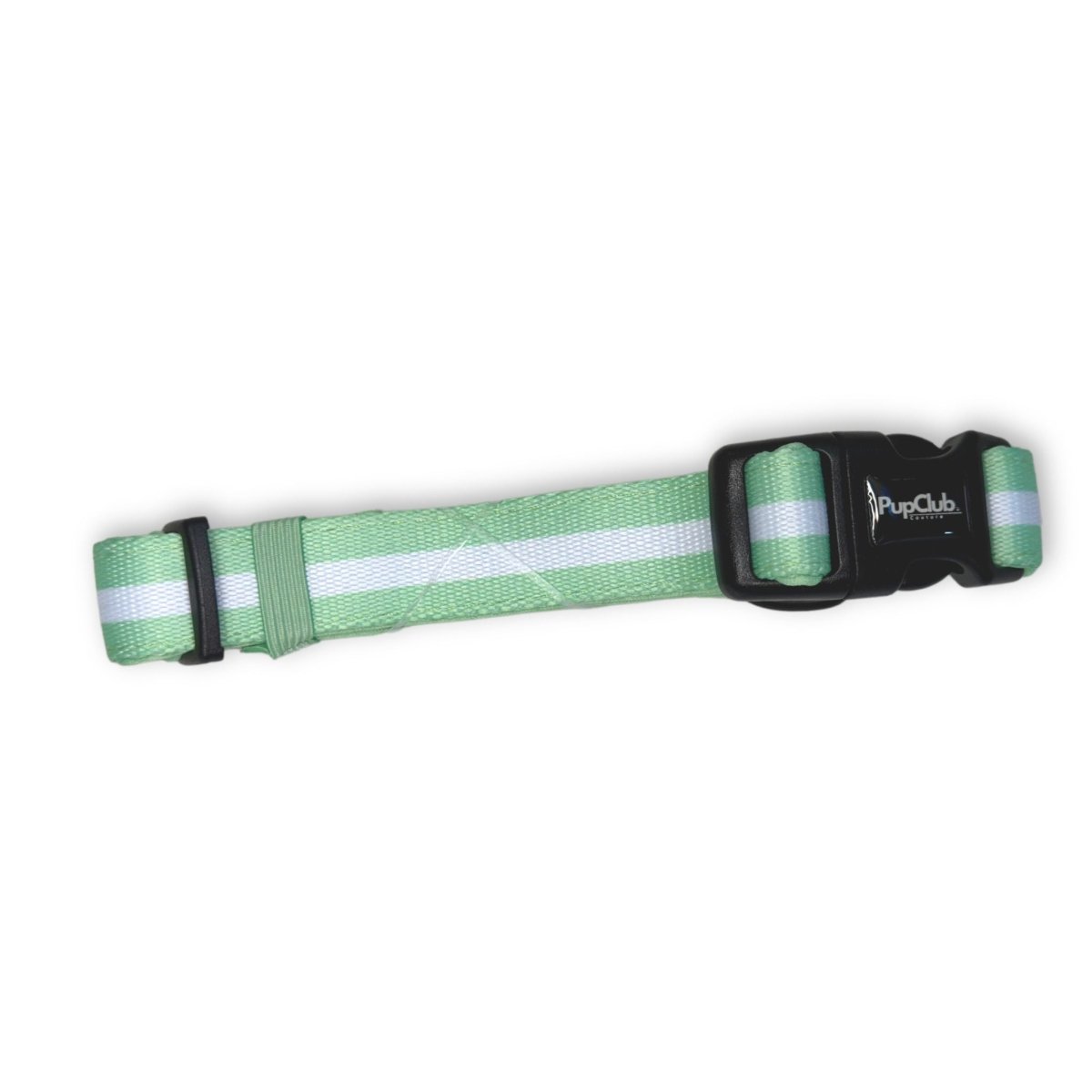 Pastel Mint Green Dog Collar | Adjustable Neoprene-Lined Collar for Dogs