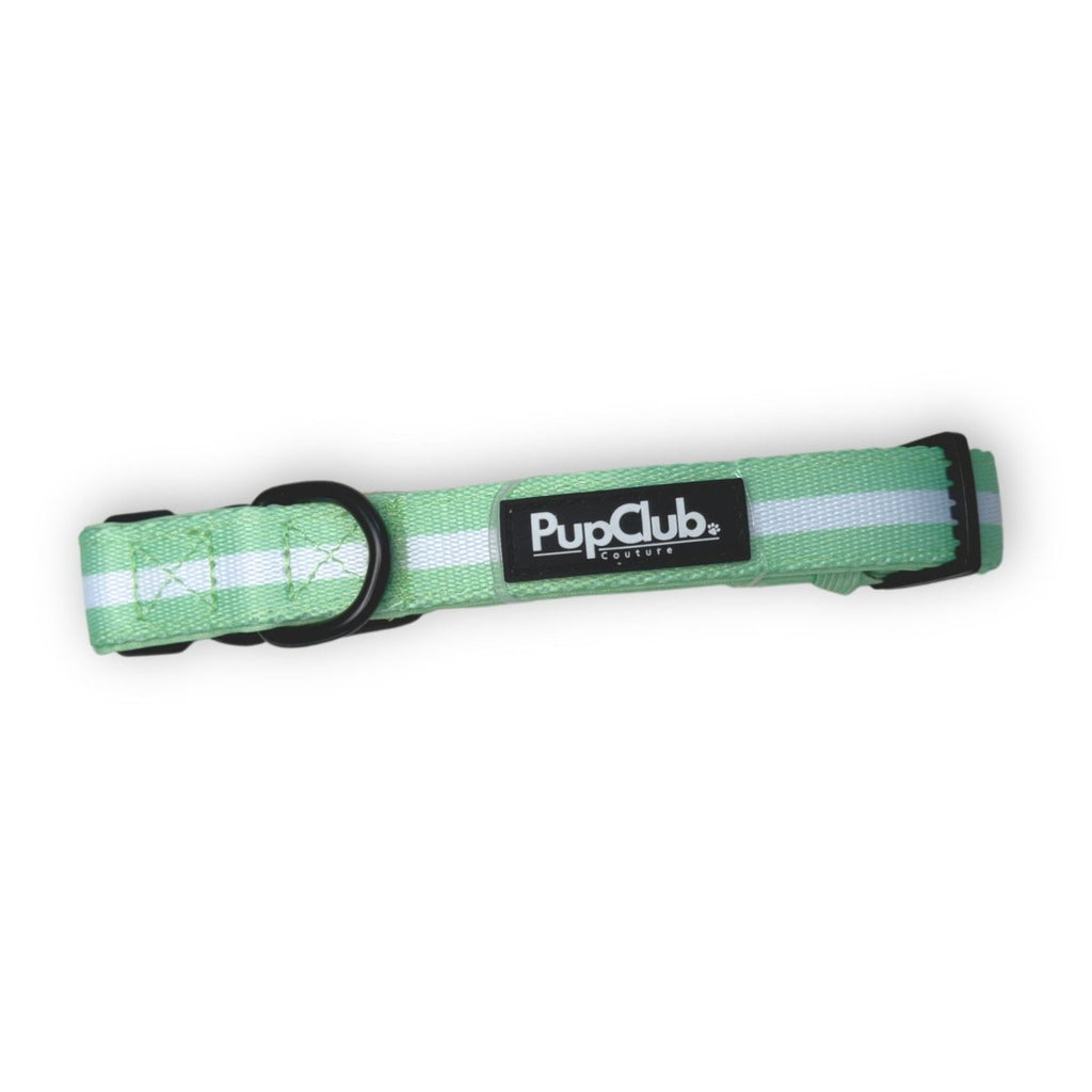 Pastel Mint Green Dog Collar | Adjustable Neoprene-Lined Collar for Dogs
