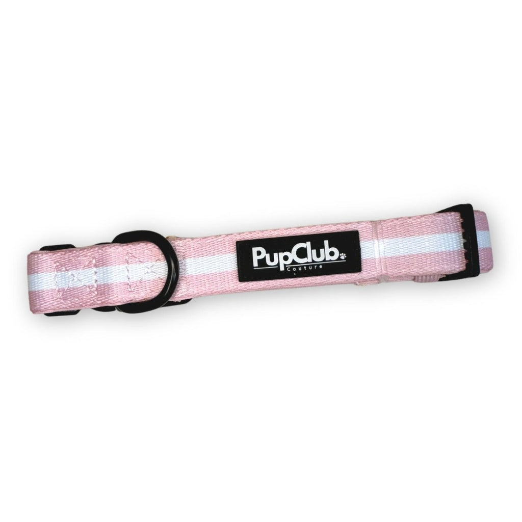 Pastel Pink Dog Collar – Mint Stripe Neoprene-Lined | PupClub Couture