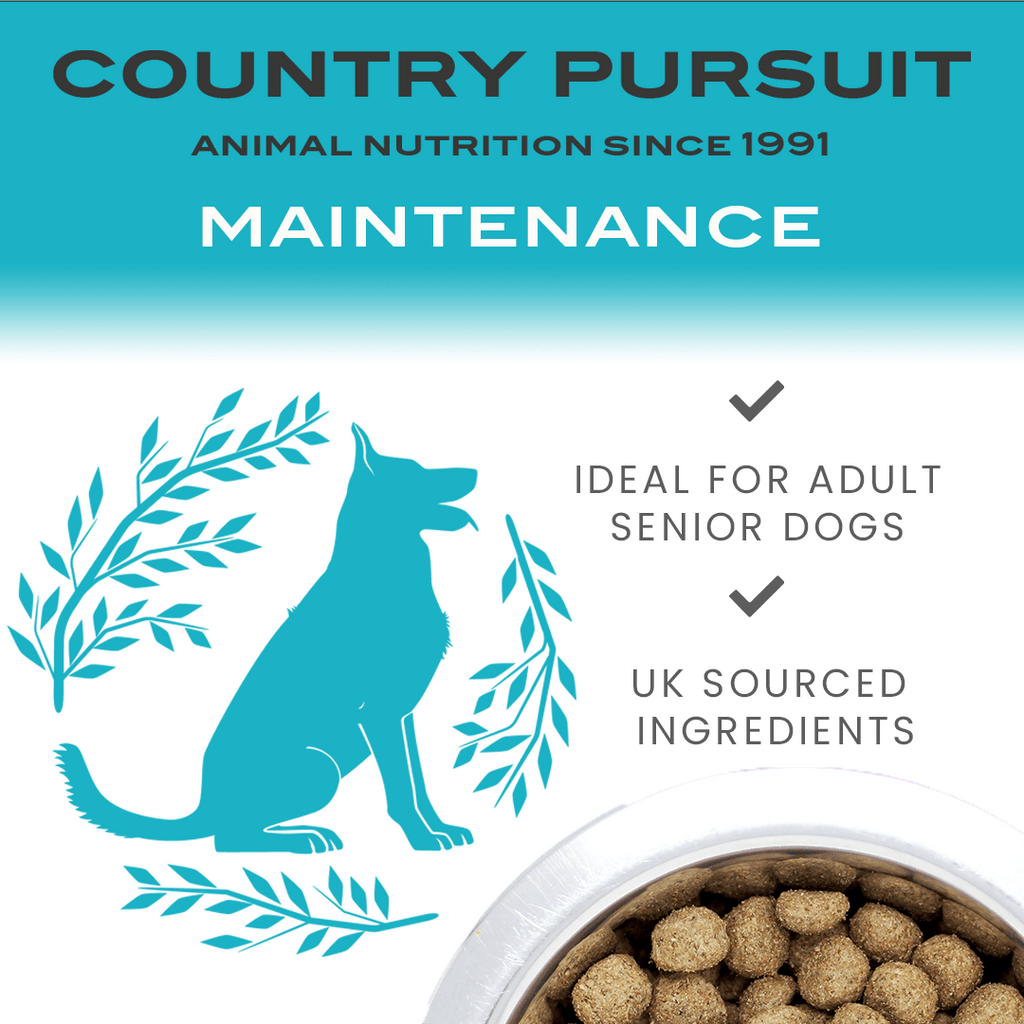 Country Pursuit Maintenance Lifestyle Adult Dog Food 300g Sample