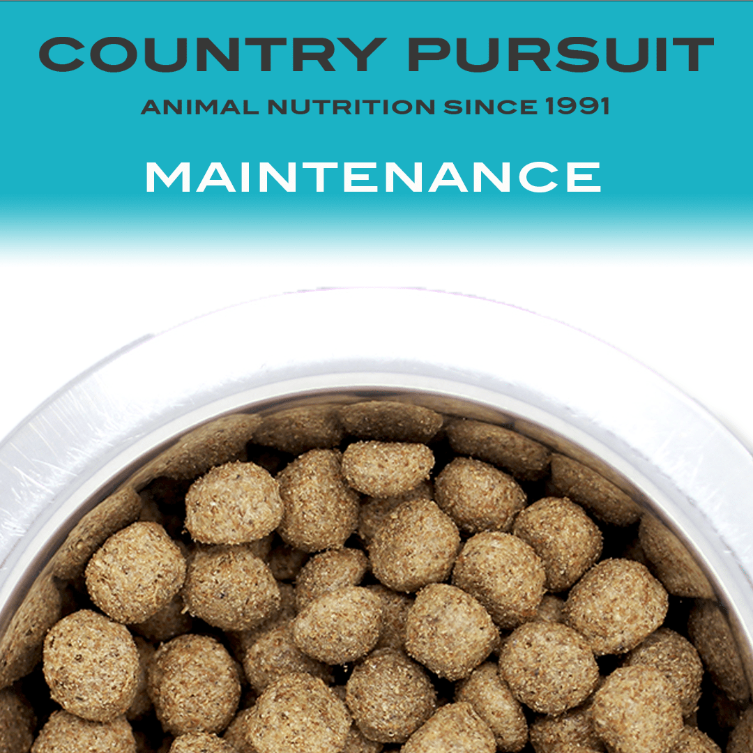 Country Pursuit Maintenance Lifestyle Adult Dog Food 300g Sample