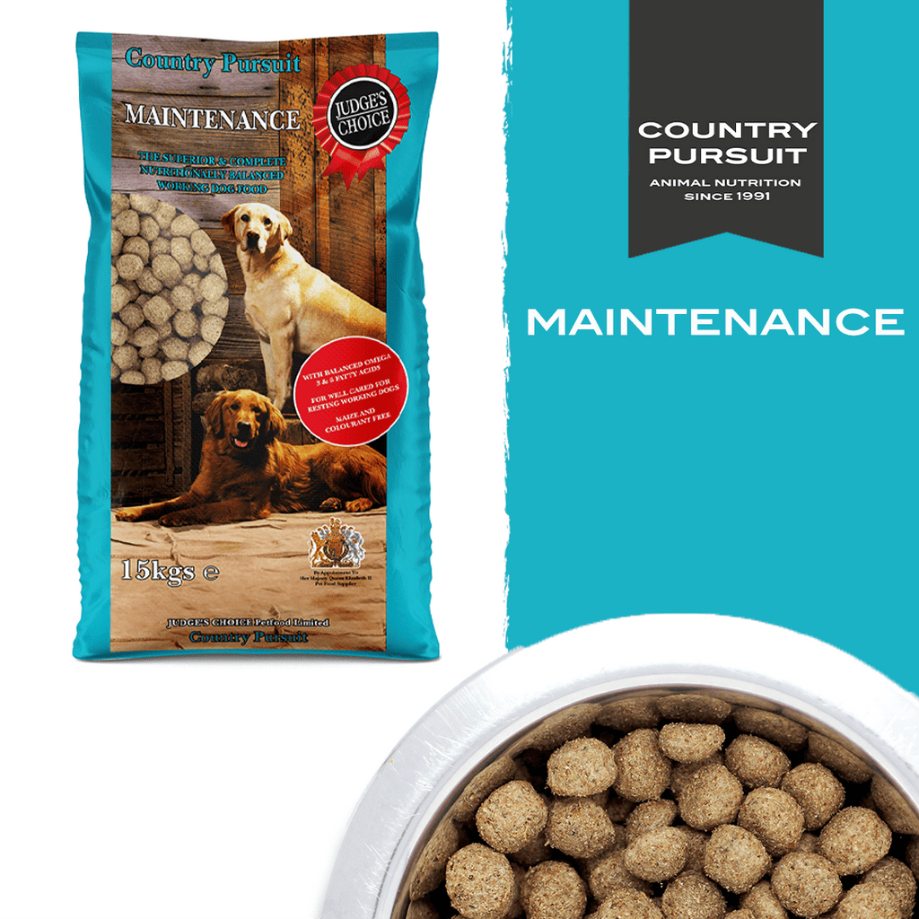 Country Pursuit Maintenance Lifestyle Adult Dog Food 300g Sample