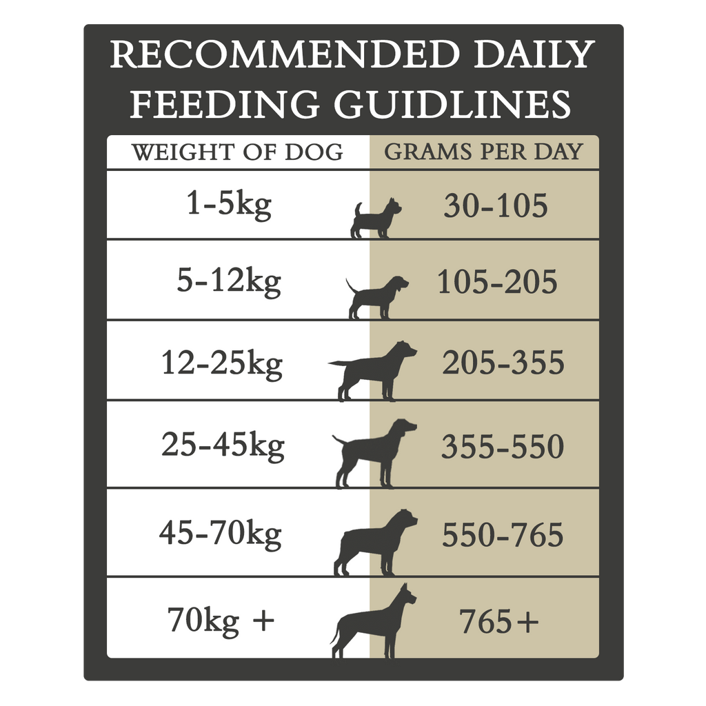 Country Pursuit Maintenance Lifestyle Adult Dog Food 300g Sample