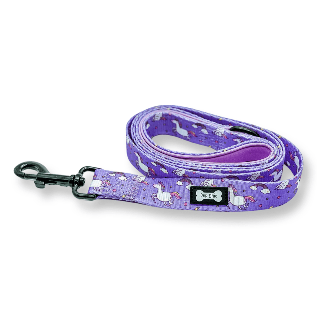Daydreams & Unicorns 5ft Dog Lead | Pup Chic Boutique