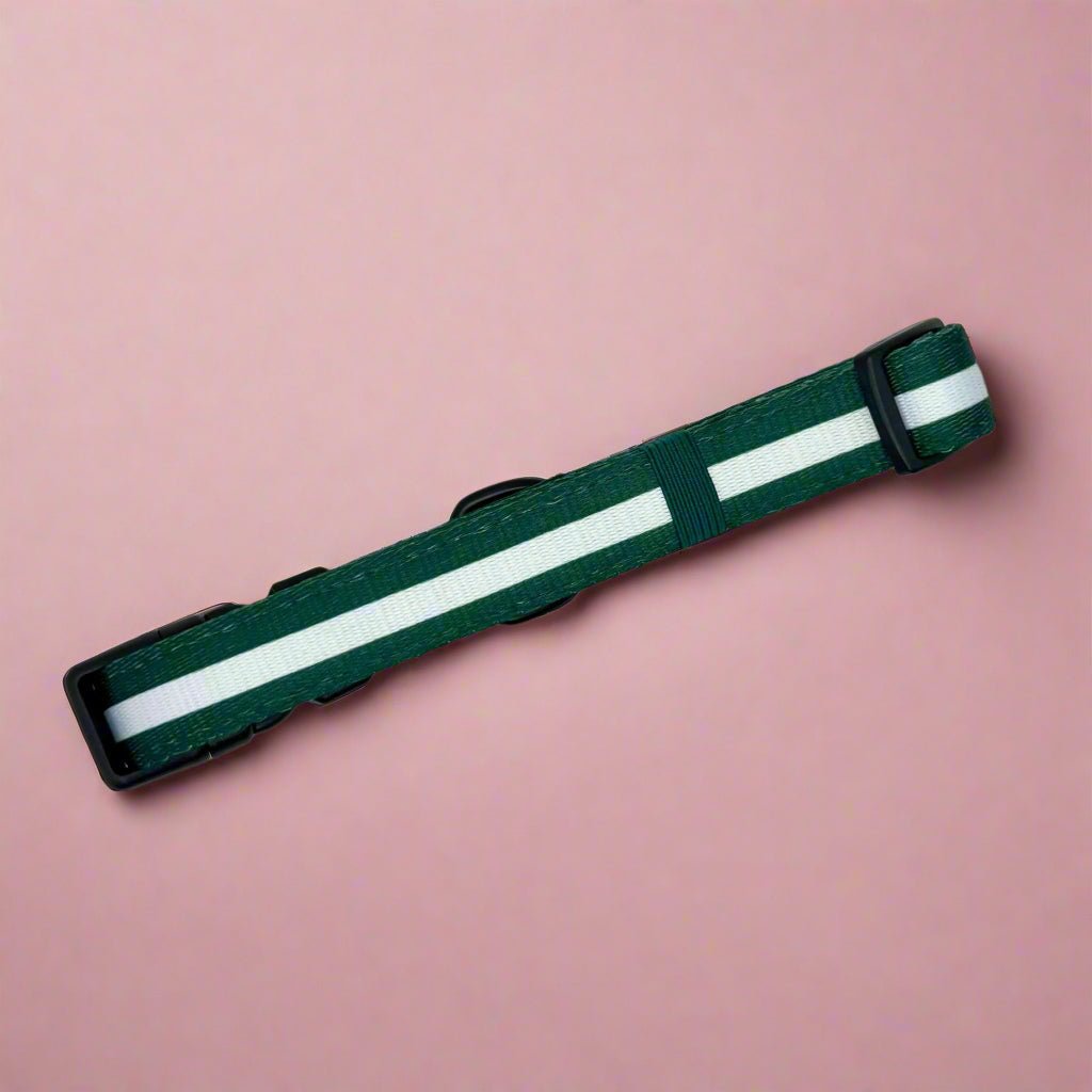 Forest green dog collar with white stripe, adjustable strap and metal buckle