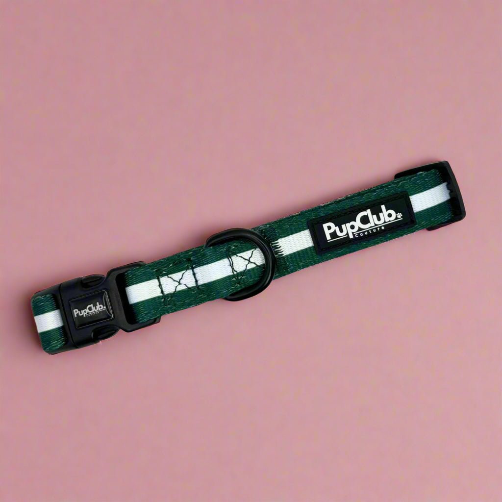 Forest green dog collar with white stripe and PupClub logo, metal buckle and D-ring