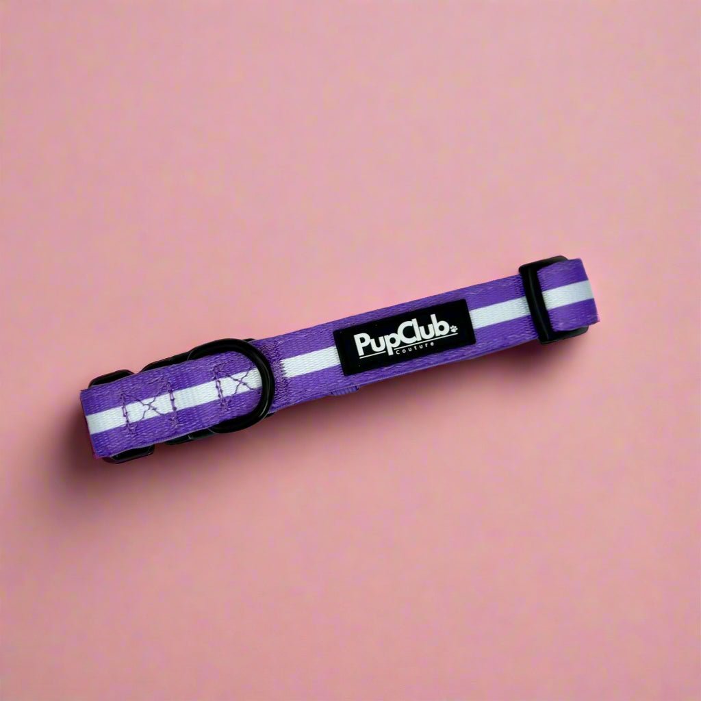 PuraPup lilac purple dog collar with white striped webbing and black buckle