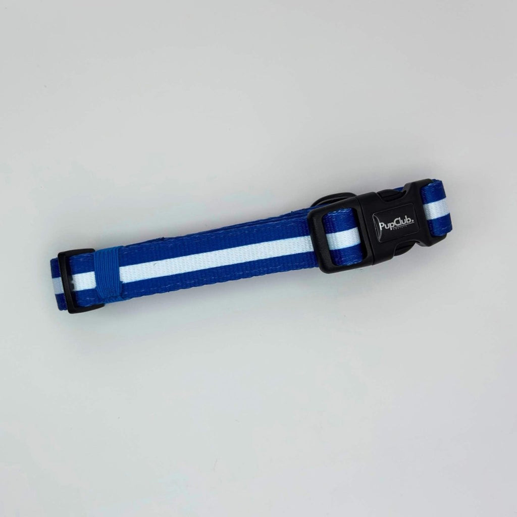 Royal blue dog collar end with black buckle and PupCulo logo patch