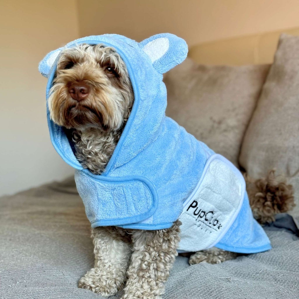 Blue pet drying robe with hooded towel pocket, worn by small dog