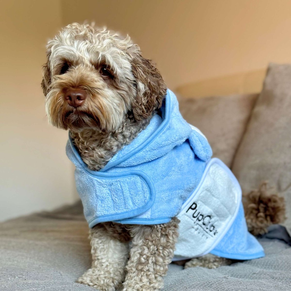 Blue pet drying robe with bear-ear hood and front towel pocket