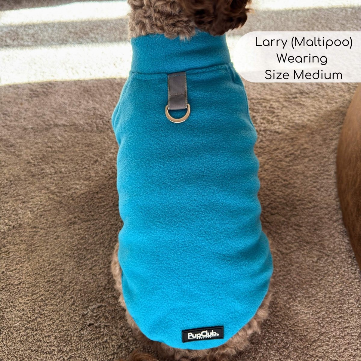Dog fleece coat, teal-blue fleece with zipper and leash clip