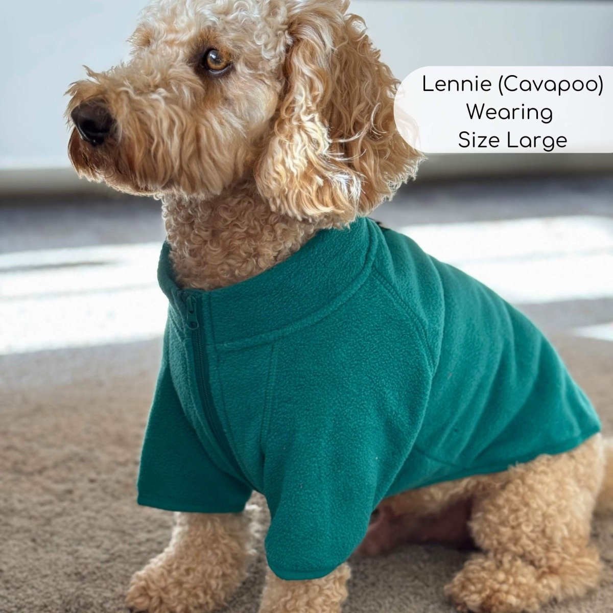 Outdoor Dog Fleece Coat – Green | Water Resistant Full-Zip | PupClub Couture