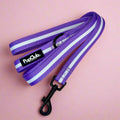 Lilac Blush Dog Lead | 5ft Padded Neoprene Lead for Dogs