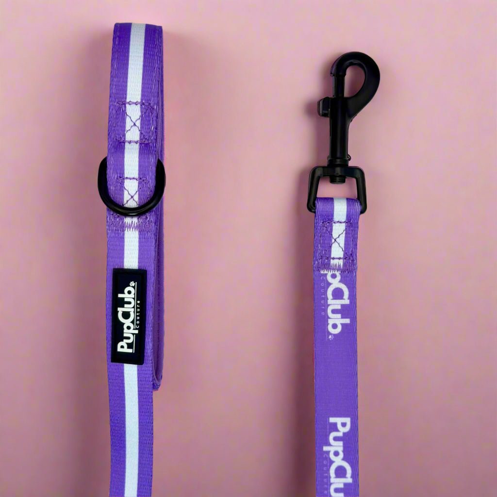 Lilac Blush Dog Lead | 5ft Padded Neoprene Lead for Dogs