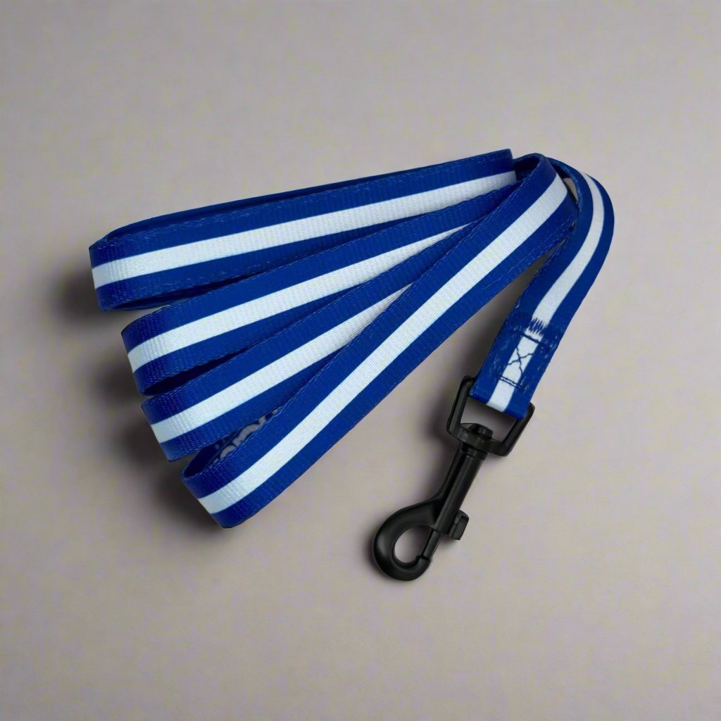 Royal Blue Dog Lead | 5ft Padded Neoprene Lead for Dogs