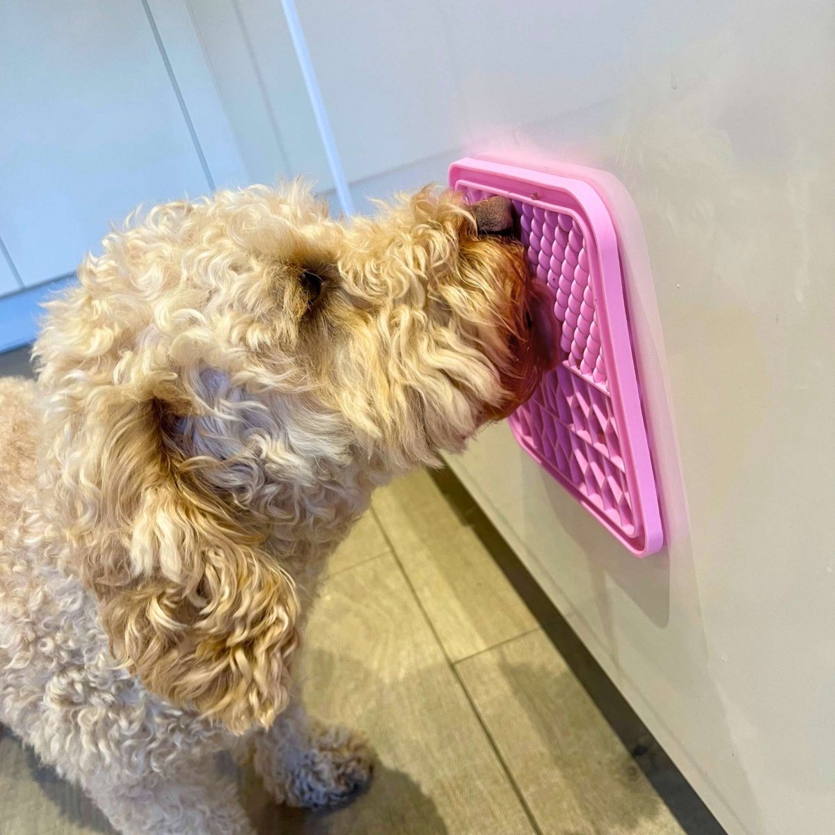 Pink silicone dog lick mat with raised pattern, used by a dog against a wall