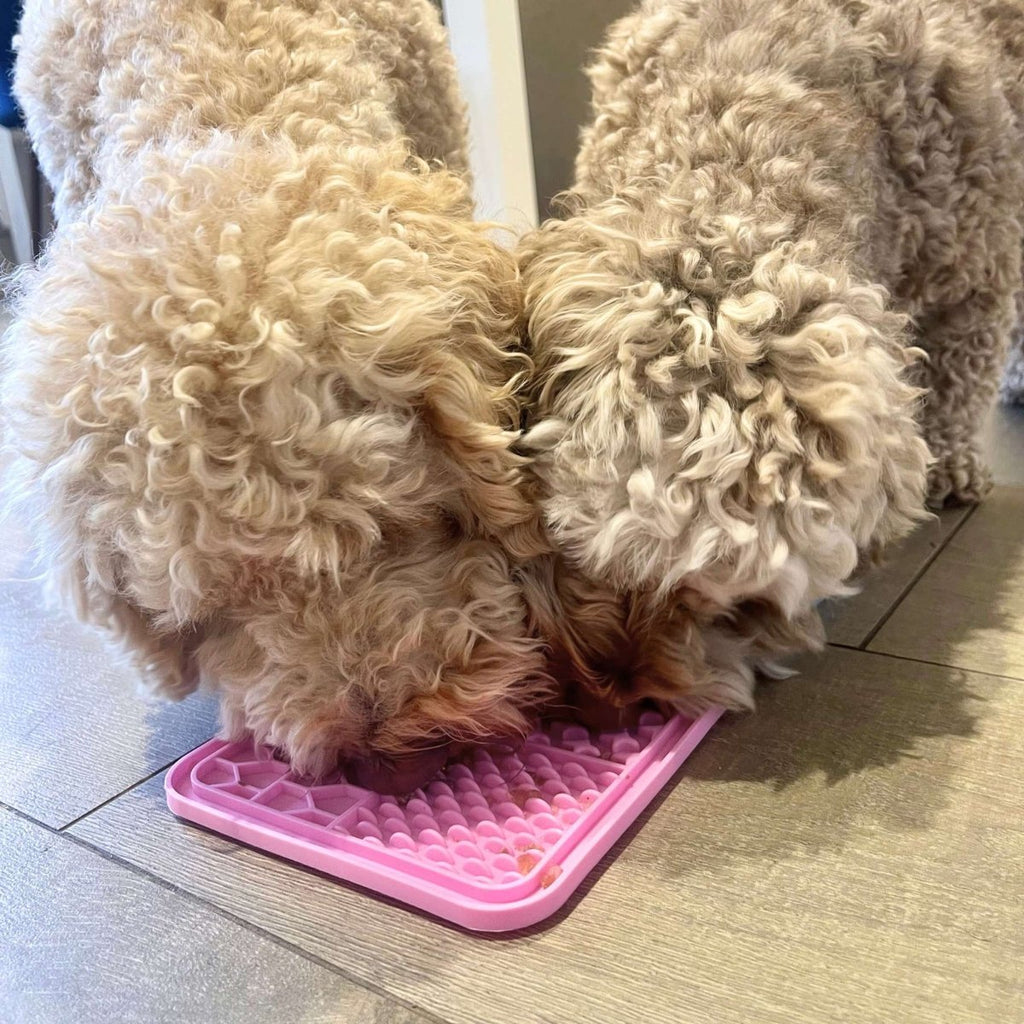 Pink silicone dog lick mat with raised nubs, dog licking from the surface
